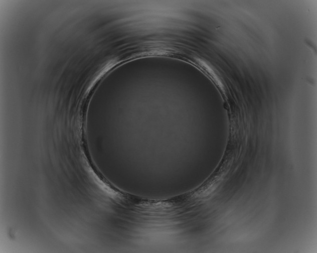 X0000093130851200709261346