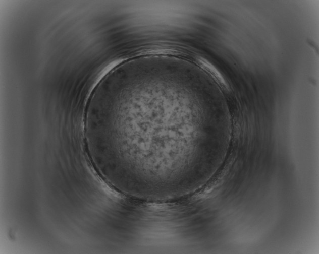 X0000093130852200709261346