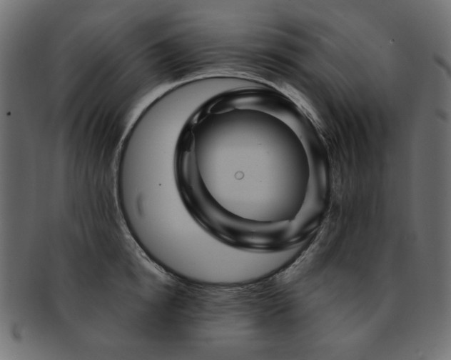 X0000093130854200709261347