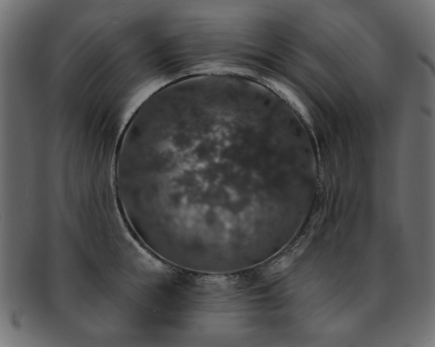 X0000093130855200709261347