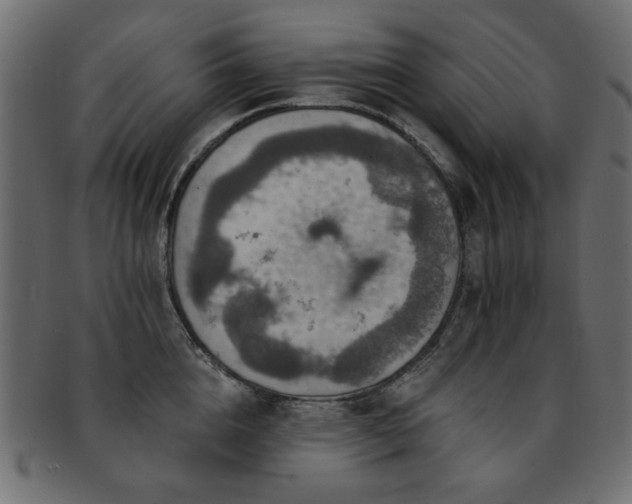 X0000093130856200709261347