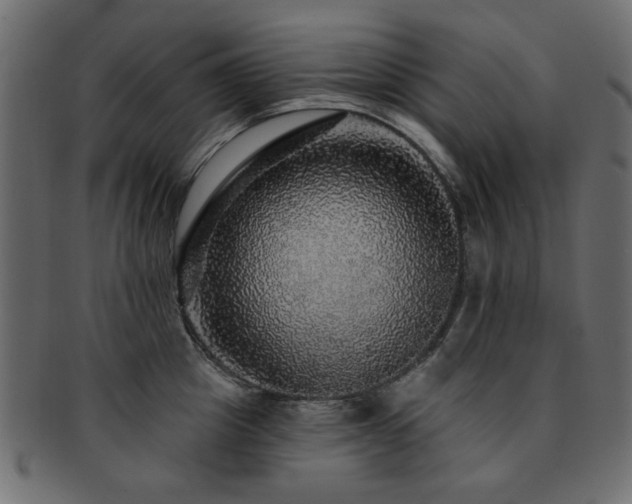 X0000093130857200709261347