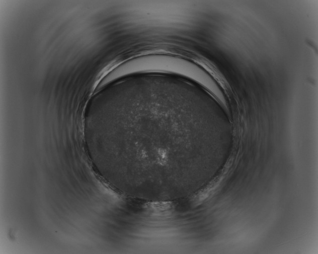X0000093130858200709261347