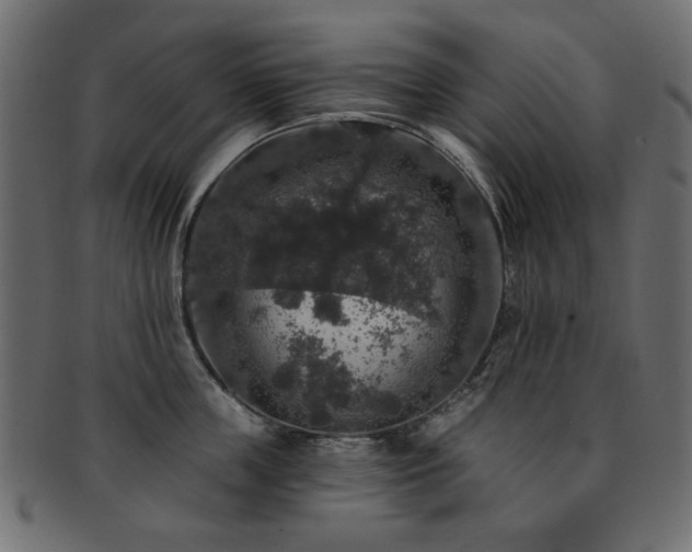 X0000093130859200709261347