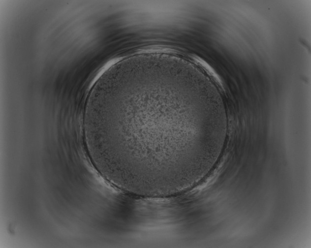 X0000093130860200709261347