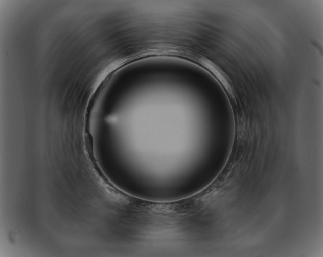 X0000093130861200709261347