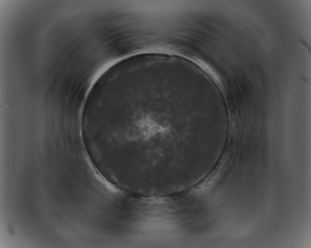 X0000093130862200709261347