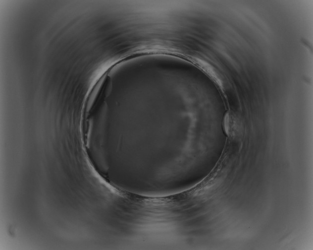 X0000093130863200709261347