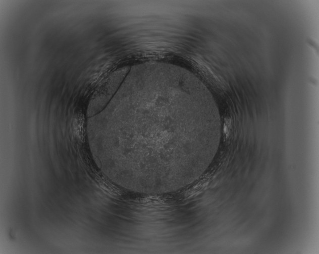 X0000093130867200709261346