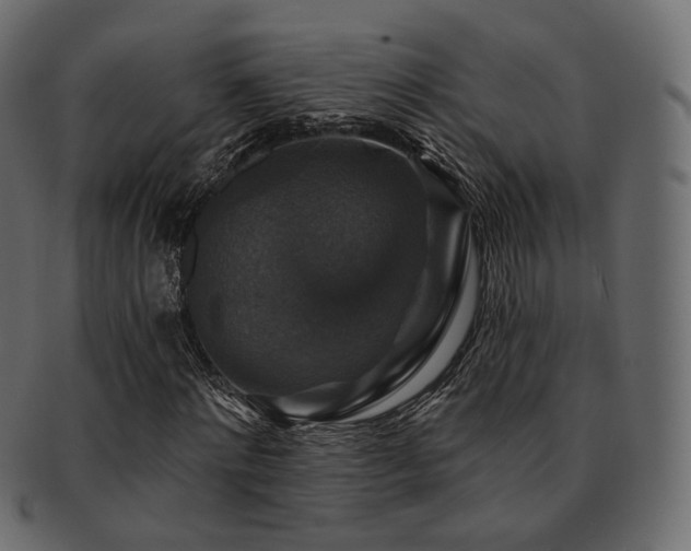 X0000093130868200709261346