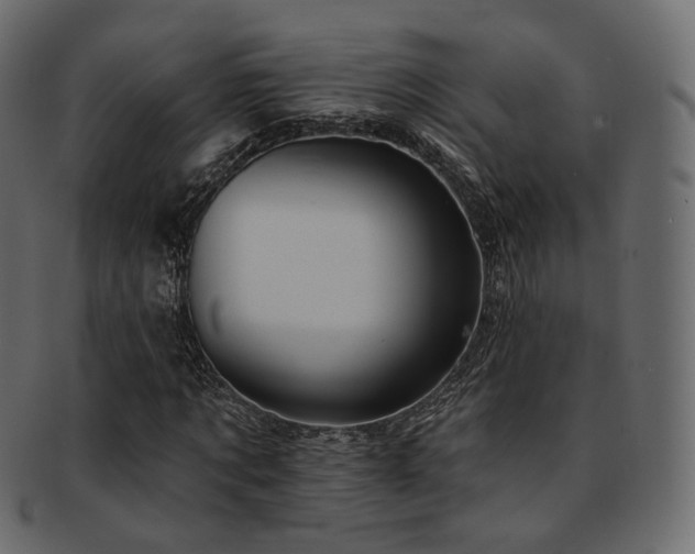 X0000093130869200709261346
