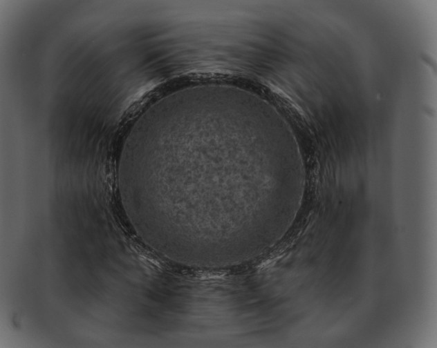 X0000093130870200709261346