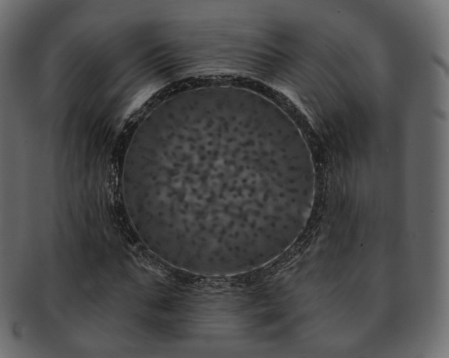 X0000093130871200709261346