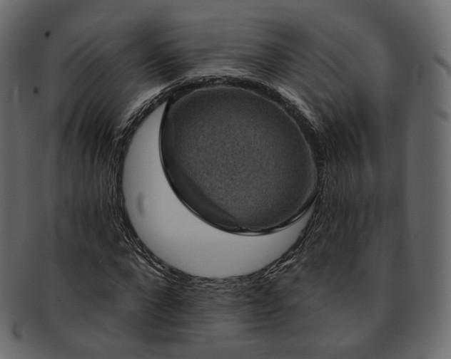 X0000093130872200709261346