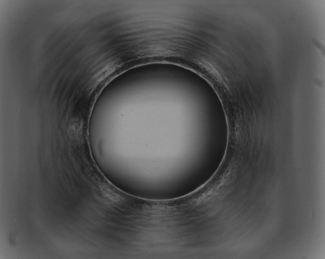 X0000093130873200709261346