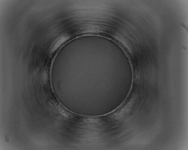 X0000093130874200709261346