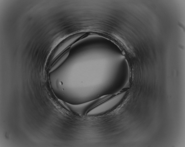 X0000093130876200709261346