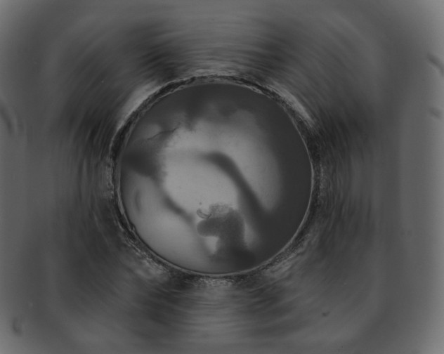 X0000093130878200709261346