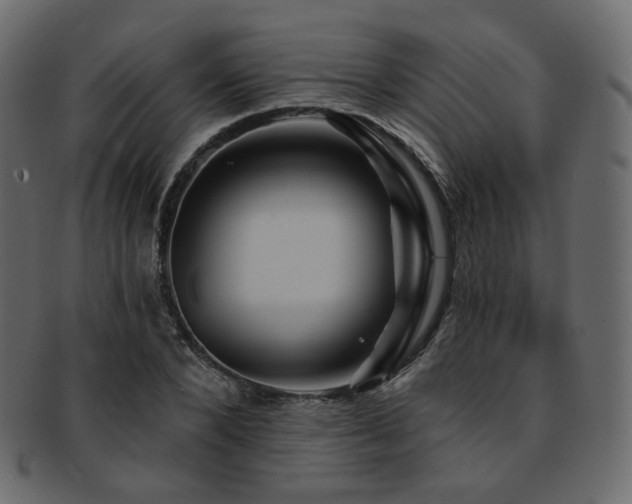 X0000093130880200709261346