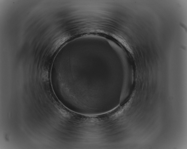X0000093130881200709261346