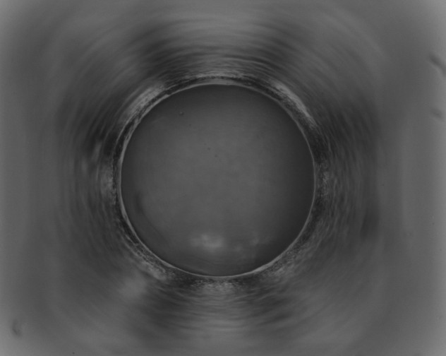 X0000093130882200709261346