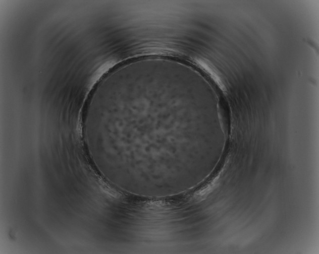 X0000093130883200709261346