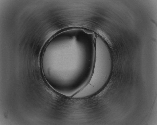 X0000093130884200709261346