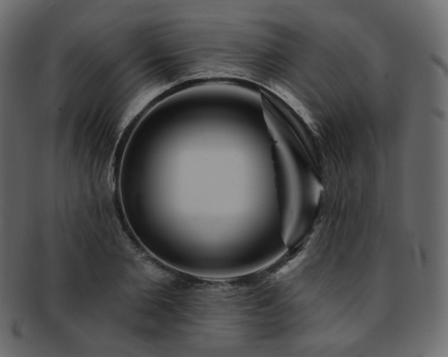 X0000093130885200709261346