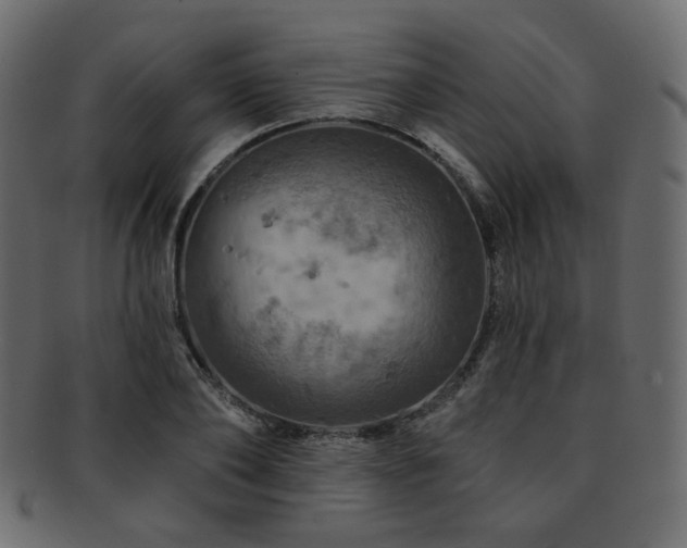 X0000093130886200709261346