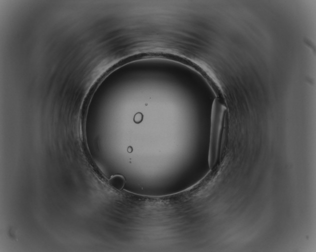 X0000093130887200709261346