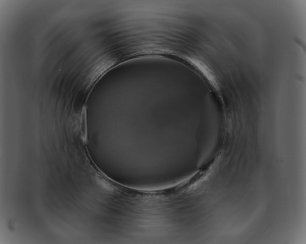X0000093130889200709261346