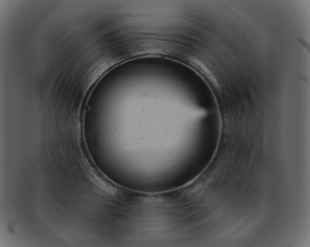 X0000093130890200709261346