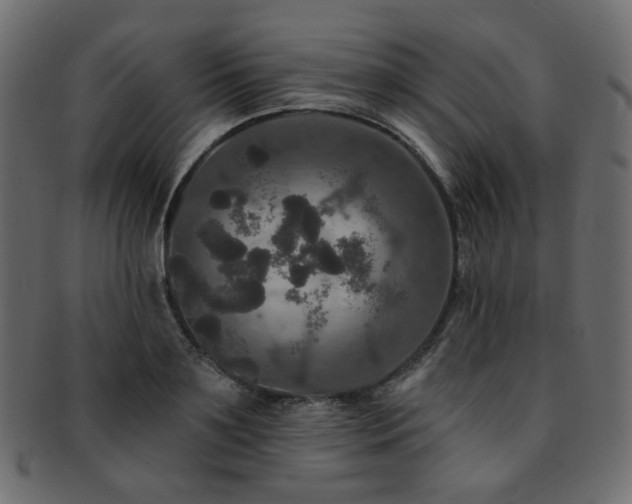 X0000093130891200709261346