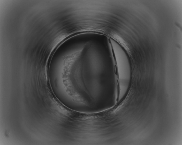 X0000093130892200709261346