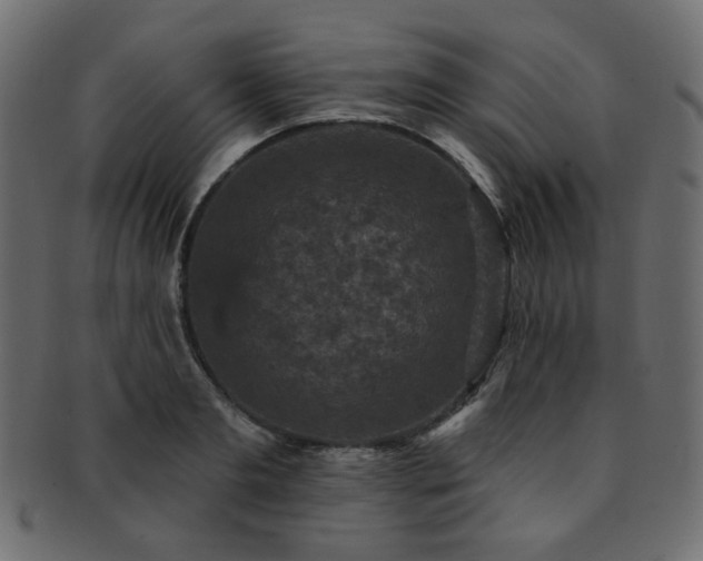 X0000093130893200709261346