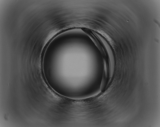 X0000093130894200709261346