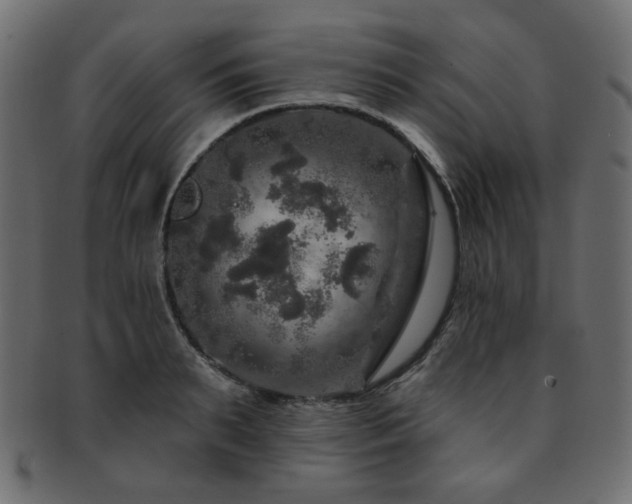 X0000093130895200709261346