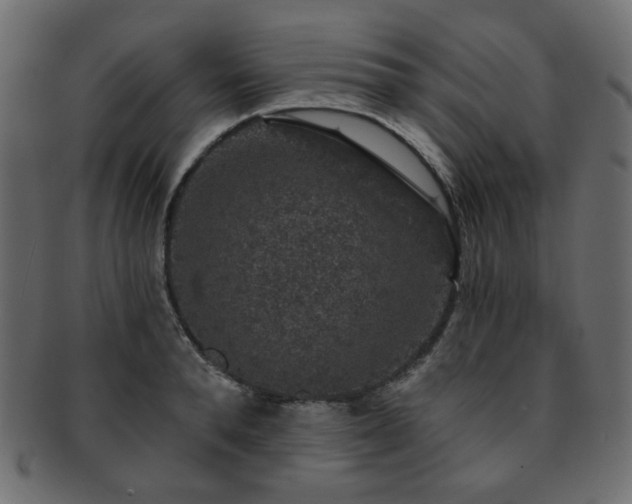 X0000093130896200709261346