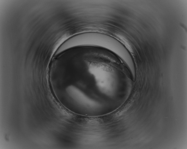 X0000093130899200709261345