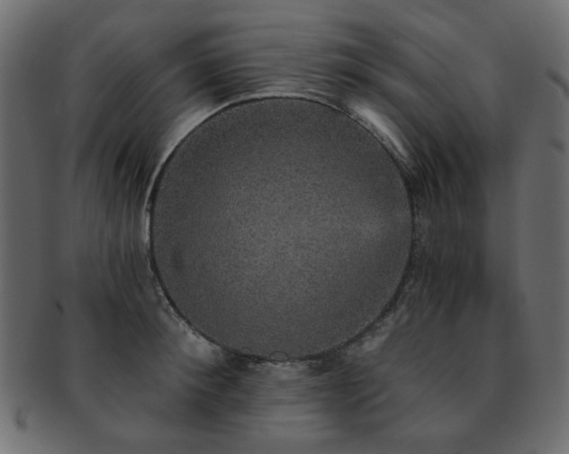 X0000093130900200709261345