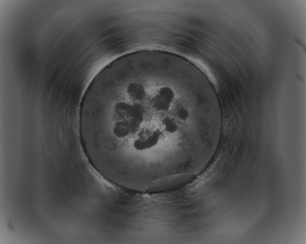 X0000093130903200709261345