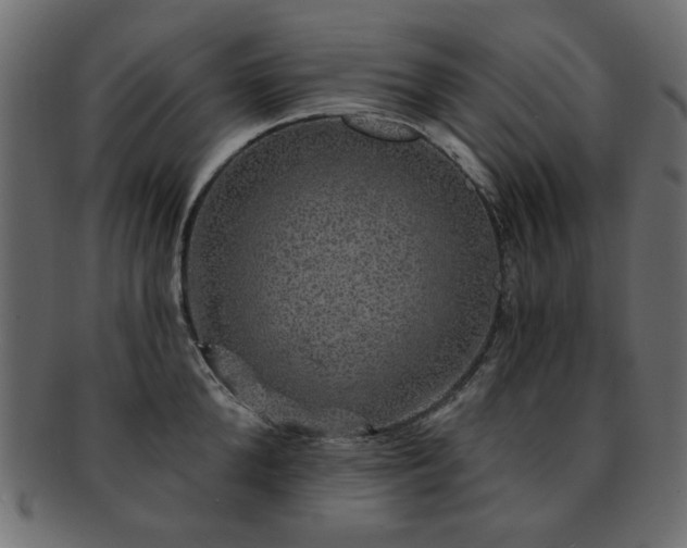 X0000093130904200709261345