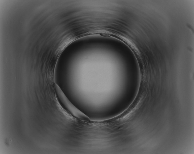 X0000093130905200709261345