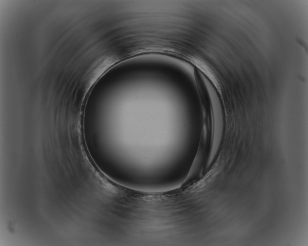 X0000093130906200709261345