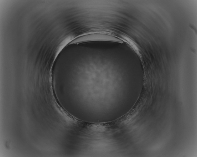 X0000093130907200709261345