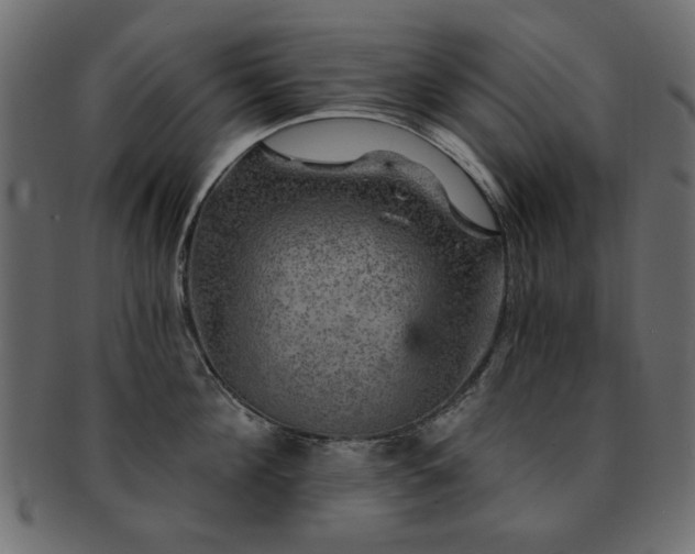 X0000093130908200709261345