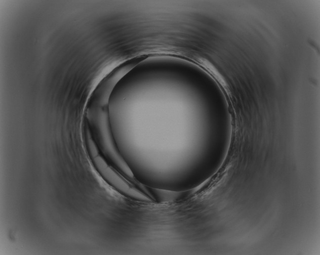 X0000093130909200709261345