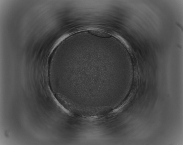 X0000093130910200709261345