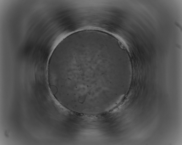X0000093130911200709261345