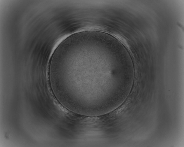 X0000093130912200709261345